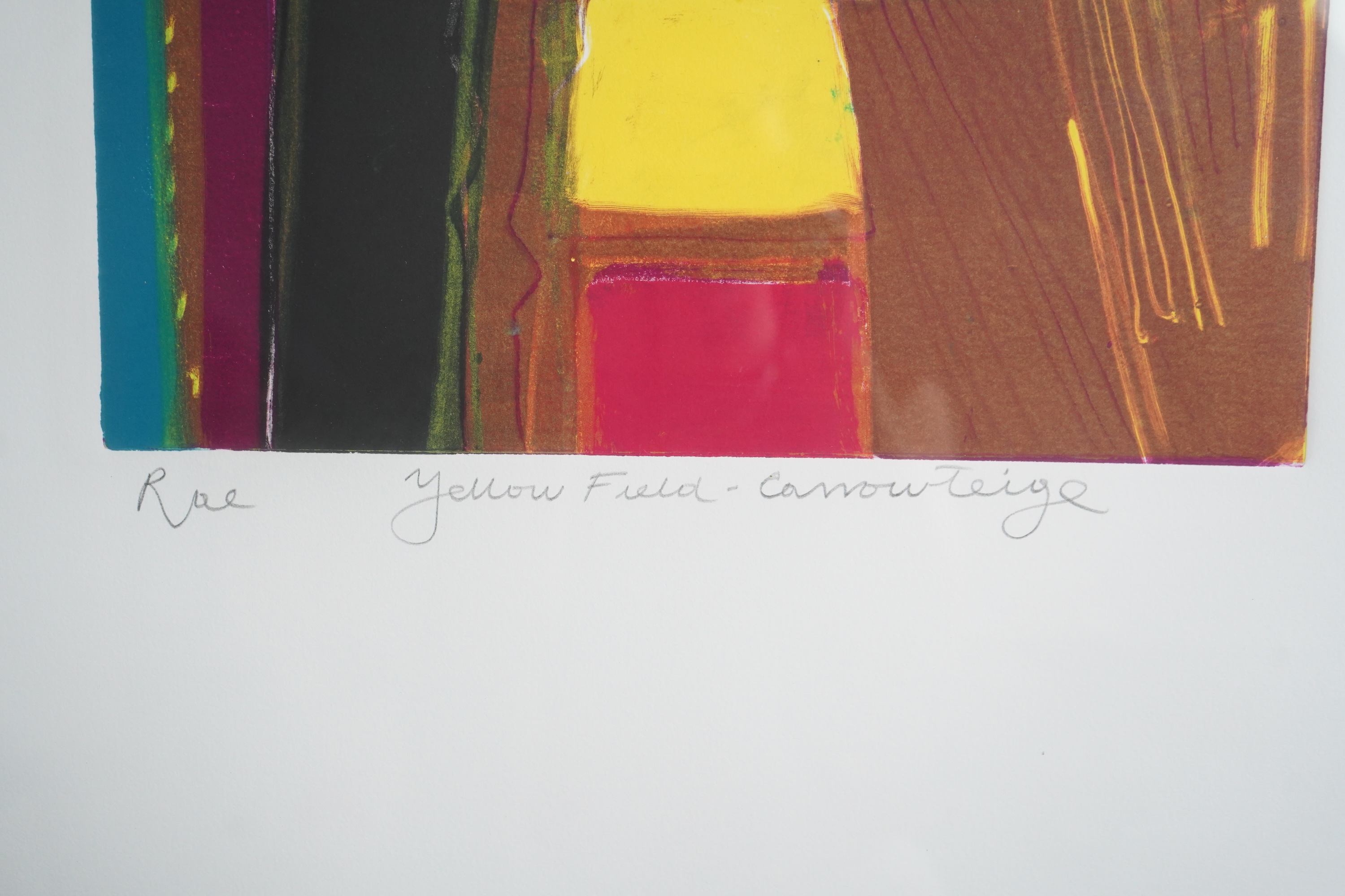 Dame Barbara Rae CBE, RA, b. 1943, 'Yellow Field - Carrowteige'